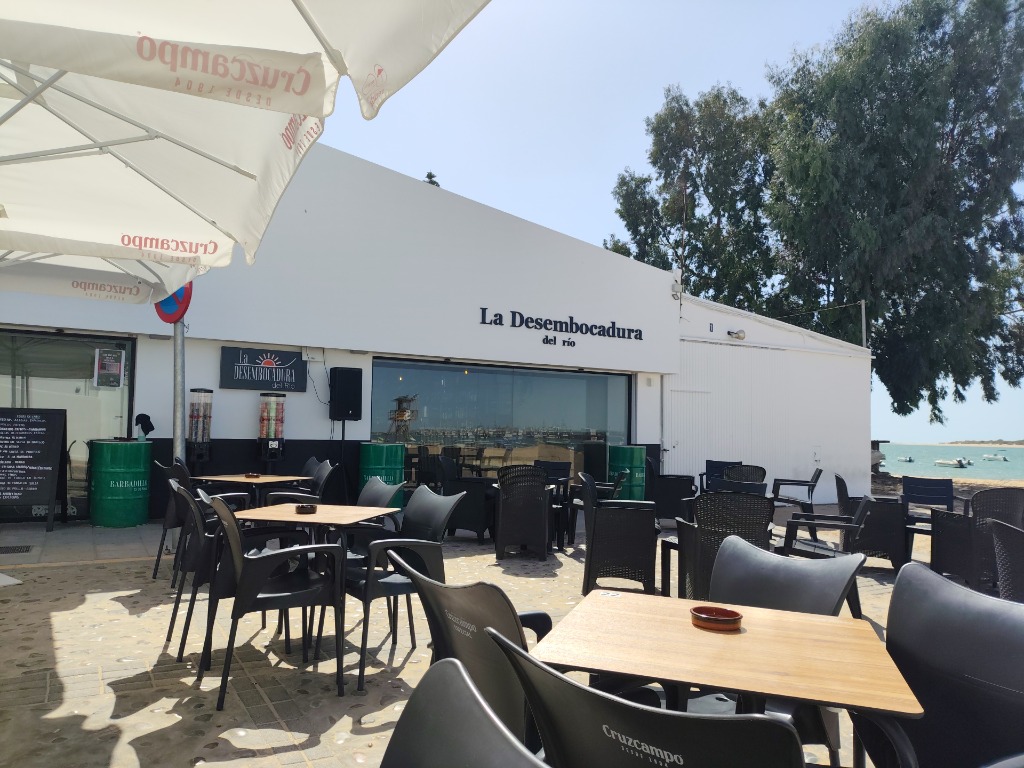 Terraza, barra y vistas a Doñana