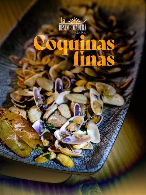 Coquinas finas